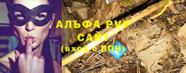 шишки Алзамай