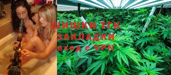 крисы Аркадак